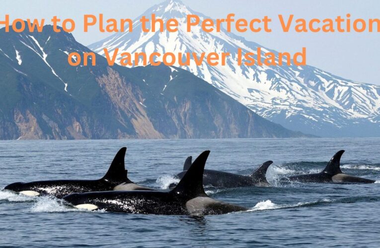 How to Plan the Perfect Vacation on Vancouver Island